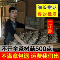 500 г jiangxi guangchang Чайный дерево сушеные специальные специальные товары бесплатная доставка свежие чайные грибы шиитаке.
