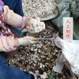 Юньнан Ту Фуля китайская фармацевтическая белая пория облако пориариорист