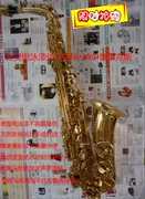 Sơn Thượng Hải Belling Electrophoretic Alto Saxophone M4019-4D E-tone Alto Saxophone - Nhạc cụ phương Tây
