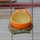 Мандарин