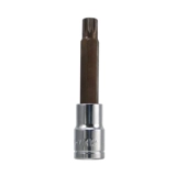 M10 12 -HORNED ROTOR RELOT