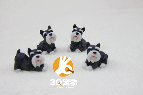 Мини -смола собачья настольная настольная настольная горшка с виппийками из пинги, чем медведь Коркака Кордонари 1