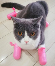 Антицарапки 包邮防猫抓手套脚套剪指甲洗澡防抓挠神器靴防抓猫咪用品猫指甲套