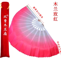 Роза красная