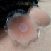 [EA] silicone chống va chạm núm vú mùa hè vô hình mỏng thoáng khí dán váy cô dâu bơi không dấu vết RT017 miếng dán ngực Nắp núm vú