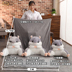 Hamster gối quilt dual-sử dụng đệm vành đai văn phòng eo ghế gối tựa lưng ba-trong-một điều hòa không khí chăn Chăn tiện ích Trở lại đệm / Bolsters