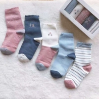 1755 (5 удвоений осенью и зимой)