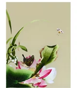 []】 Thêu thêu tự làm người mới bắt đầu thêu kit hình Lang Shining hoa và chim để gửi hướng dẫn