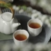 Return Mùa xuân trở lại Màu be nhạt liangliang Bộ trà Kungfu đặt hoa miệng ly nhỏ Hộp quà năm mảnh - Trà sứ