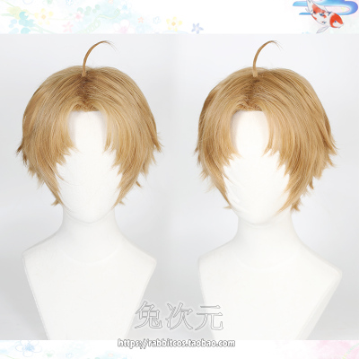 taobao agent [Rabbit Dimensional] No job reincarnation, Rudius, Dingwen Dukeing Cosplay Wig