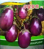 Утренние баклажаны. Оригинальные 5 грамм