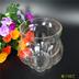 Bình thủy tinh thủy tinh bí ngô bình thủy tinh bát sen bát tròn thủy tinh bình cá vàng thủy tiên hoa tulip - Vase / Bồn hoa & Kệ chậu trồng cây trong nhà Vase / Bồn hoa & Kệ