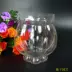 Bình thủy tinh thủy tinh bí ngô bình thủy tinh bát sen bát tròn thủy tinh bình cá vàng thủy tiên hoa tulip - Vase / Bồn hoa & Kệ