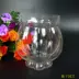 Bình thủy tinh thủy tinh bí ngô bình thủy tinh bát sen bát tròn thủy tinh bình cá vàng thủy tiên hoa tulip - Vase / Bồn hoa & Kệ bình cắm hoa Vase / Bồn hoa & Kệ