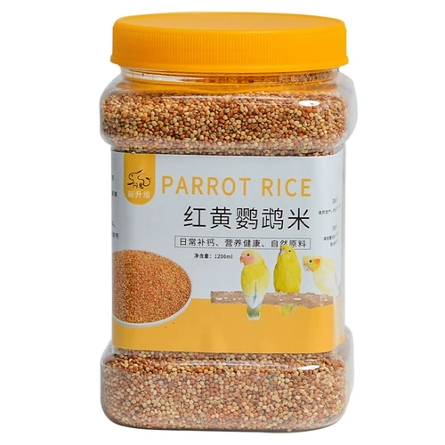 Tiger Parrot Feed Bird Food Peony Mudan Peony Food Bird Birds Bird