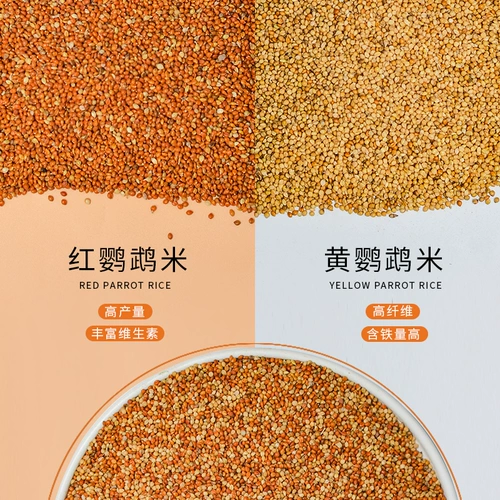 Tiger Parrot Feed Bird Food Peony Mudan Peony Food Bird Birds Bird