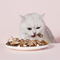 Зиз кот большие кусочки замороженные сухой полоски в кошку, утку котенка, курица, мясо, зубы, питание с закусками, жирные закуски для кошек
