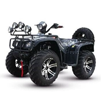 Long Đinh 14 inch bánh xe nhôm lớn 悍 ngựa lớn BMW ATV bốn bánh xe hoang dã cánh đồng 250cc làm mát bằng nước ổ đĩa phanh đĩa xe moto điện cho bé