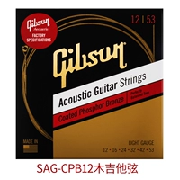 SAG-CPB12 Деревянные гитарные струны
