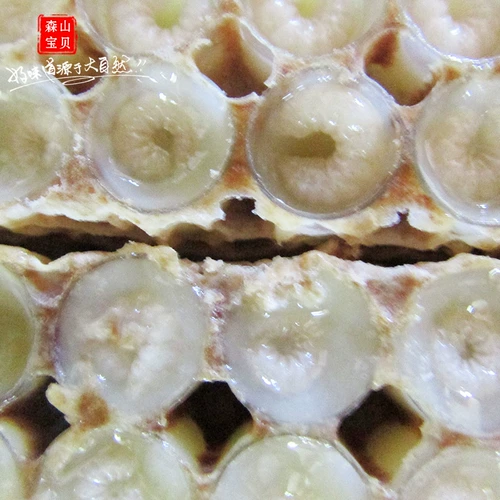 Подлинный девственное лес, деревья, цветы, король, естественный самостоятельный рояльный желе с высоким качеством