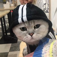 Панда пуговица и зима плюс бархатный черный