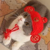 Fortune Jinbao Transformation Hat Pet кошка кошка кошка лунная шляпа британская короткая красивая короткая кошачья головная ура