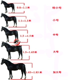 Ветка высокой плотности -это голова лошади, а металлические поры сильны и сильны.Длина носового круга и шеи может быть отрегулирована