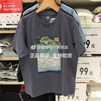 07 Green Grey 447949