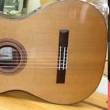 Французская клейкая краска насекомых на высшем учебном пособии Полная учебная гитара Техническое обслуживание