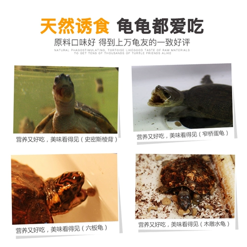 Life Pulse Turtle Grain Бразильская крокодильная черепаха черепаха для корма для корма для получения Специальная полуоттерная черепаха Открытие зерна кальций. Молодые креветки сушеные молодые креветки
