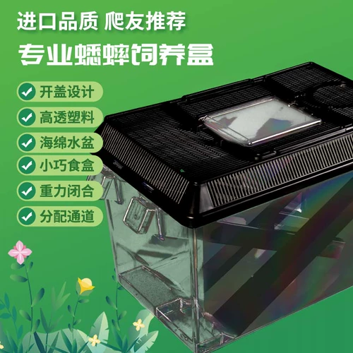 Канадская экзоси Xijin 饲 ящик для разведения анти -эскапа 蟋蟀 Удобная коробка для разведения ящиков для питательных ящиков