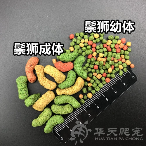 Американские оригинальные личинки для репутации/ящерица, ящерица/грива ящерица кормля