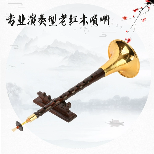 Профессиональные музыкальные инструменты, маленький мегафон, полный комплект