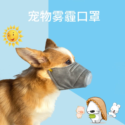 Деконг -домашняя собака против собак -хейза использует рот, чтобы предотвратить кусание Тедди Корги Анти -Рэндомное питание PM2,5