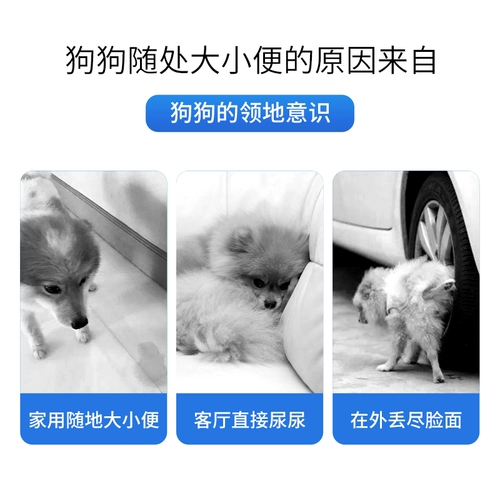 Агент туалета для собак Фиксированное положение -Точка позиционирования и дефекация туалет жидкость
