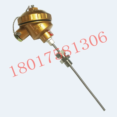 Shangyi WRNK-230 Armor Thermocouple K-точка № 1000 ℃ Двойной промышленный термометр Шанхай Третья фабрика