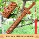 60 см Shuanglong Sword (подлинный кондор персич дерево)