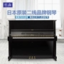 Nhật Bản nhập khẩu đàn piano ATLAS APOLLO MARCHEN DIAPASON Apollo dòng thứ hai đàn piano điện yamaha