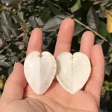 Сердечное сердце из природного раковины Сердце Сердце Сердело