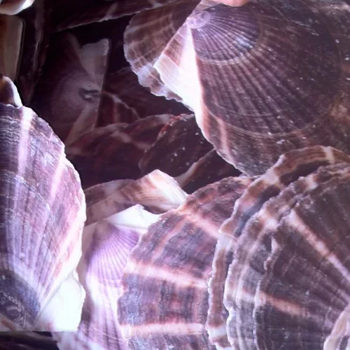 Натуральный сиреневый реквизит для фотографии, аквариум, домашний декор