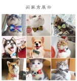 Галстук-бабочка, аксессуар, колокольчик, чокер с бантиком, галстук, домашний питомец, кот