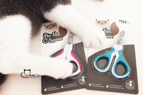 C-Queen/Peggy Kitten Special Nail Tie Tie Tie Tief Нож