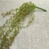 Mô phỏng mọng nước treo người yêu nước mắt hạt cườm hoa giả Sen trang trí mục vụ phù hợp với cây xanh bán buôn trái cây - Hoa nhân tạo / Cây / Trái cây