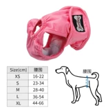 Физиологические штаны с удаленными по шкале для женских собак менструальные подгузники домашние животные тетушка, моча для мытья воды, без влажного золота