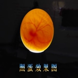 Lao Han Zan Zhao's New Egg Device вылупит специальную яичную лампу, утку цыпленка, голубь -голубь -голубь птица белый свет яйцо Ли Электрическое отопление