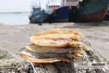 Высушенная треска, сухофузовая рыба, сушеные морские рыбы, сушена