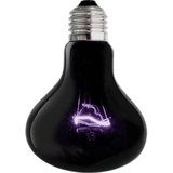 Бесплатная доставка замок скалолазам питомца Uva Ночная лампа Цветовая трансформатор ящерица ящерицы