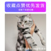 LandCE Lantees Hengbao SD-100 con chó cưng chó mèo sau khi sinh con bị rối loạn nội tiết mang thai giả - Cat / Dog Health bổ sung sữa esbilac Cat / Dog Health bổ sung