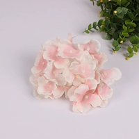 Плоть розовый