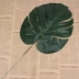 Phong cách châu Âu đơn lưỡi mô phỏng rùa trở lại lá chuối trang trí với lá phụ kiện cắm hoa tường - Hoa nhân tạo / Cây / Trái cây Hoa nhân tạo / Cây / Trái cây